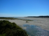 Haast bridge