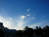 Dunedin sky