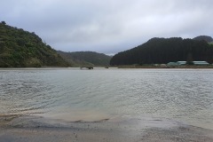 Awakino River view